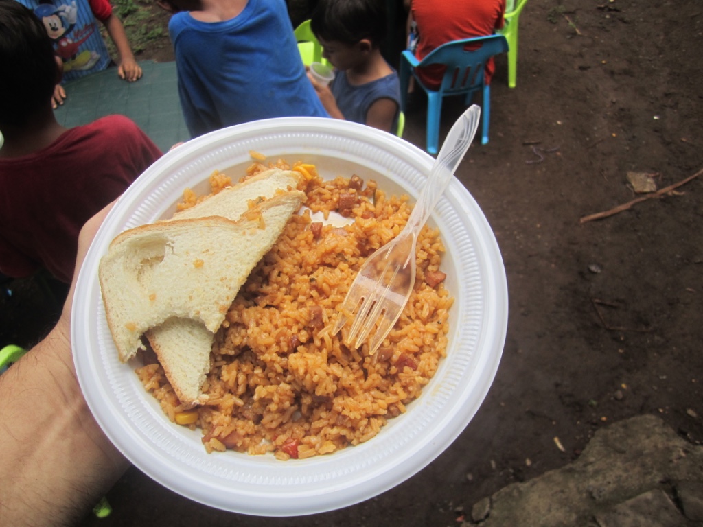 Plate of chicken and rice
